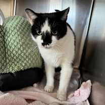 Thumbnail photo of Spot #1