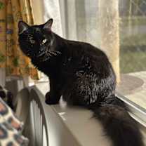 Thumbnail photo of Ali #2