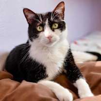 Thumbnail photo of Monji #1