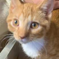 Thumbnail photo of Murry #1