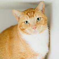 Thumbnail photo of JEFF #1