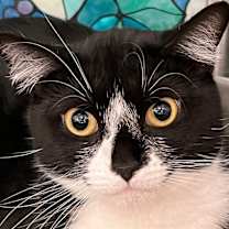 Thumbnail photo of Baby Biscuits #3