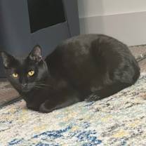 Thumbnail photo of Harvey #3