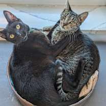 Thumbnail photo of McDreamy #4