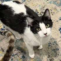 Thumbnail photo of McSteamy #3