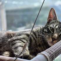 Thumbnail photo of Charlie #2