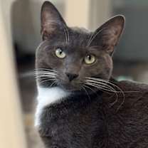 Thumbnail photo of Quincy Jones #1