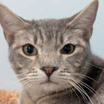 Thumbnail photo of Ricky #1