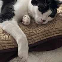 Thumbnail photo of Isaac #1