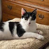 Thumbnail photo of Isaac #2