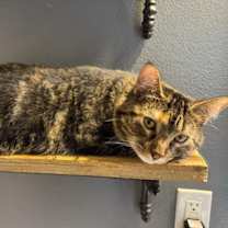 Thumbnail photo of Dori #2