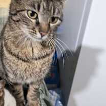 Thumbnail photo of Sally #1