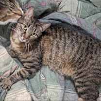 Thumbnail photo of Sally #2