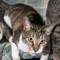 Thumbnail photo of Junior #1