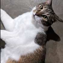 Thumbnail photo of Junior #2