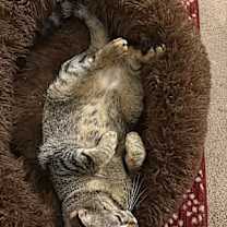 Thumbnail photo of Bill #3