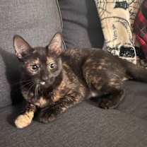 Thumbnail photo of Lilly baby #2