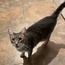 Thumbnail photo of Mariposa #2