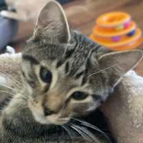 Thumbnail photo of Tony #2