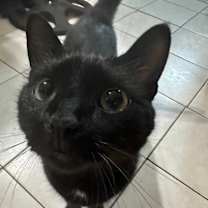 Thumbnail photo of Mio #4