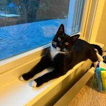 Thumbnail photo of Jaime #1