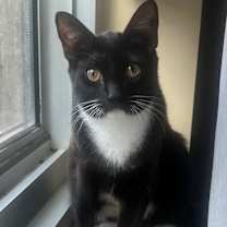 Thumbnail photo of Jaime #4