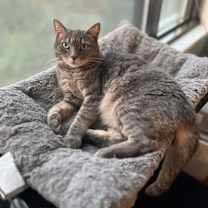 Thumbnail photo of Cutie Mila #1