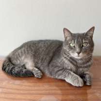 Thumbnail photo of Cutie Mila #3