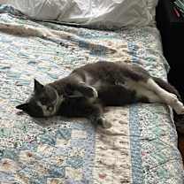 Thumbnail photo of Babyy #2
