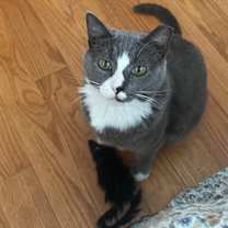 Thumbnail photo of Babyy #3