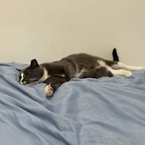 Thumbnail photo of Babyy #4