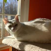 Thumbnail photo of Lucky #1