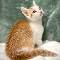 Thumbnail photo of Carter #3