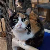 Thumbnail photo of Josephine #2
