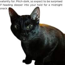 Thumbnail photo of Shadow Reaper #1