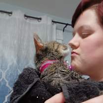 Thumbnail photo of Mama Anise #2