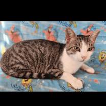 Thumbnail photo of Walter #1