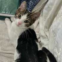 Thumbnail photo of Declan #2