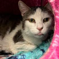 Thumbnail photo of Dori #1