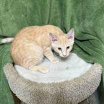 Thumbnail photo of TW-Sully #2