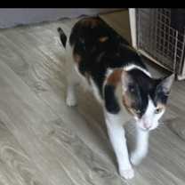 Thumbnail photo of Spice #2