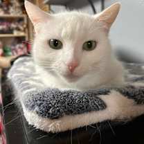 Thumbnail photo of Bianca #2