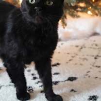 Thumbnail photo of Turbo #2