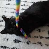 Thumbnail photo of Turbo #4