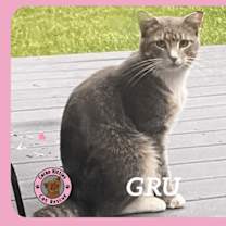 Thumbnail photo of Gru #3