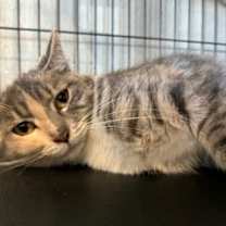 Thumbnail photo of Tina #1