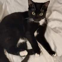 Thumbnail photo of Johnny Walker! #1