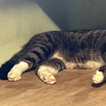 Thumbnail photo of Kit #2