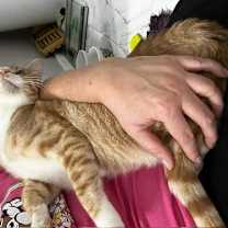 Thumbnail photo of Morris Claus #3