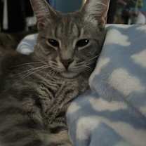 Thumbnail photo of rosie #3